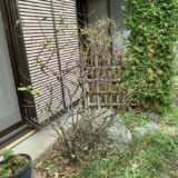 自信はないけど