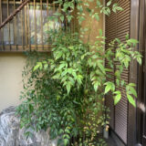 ちょっと心配