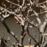 いつの間にか