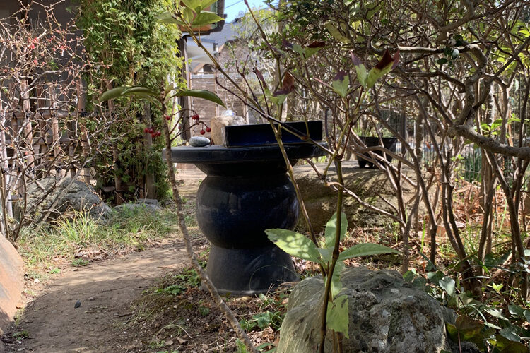 センリョウ