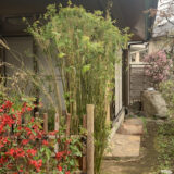まいっかな？