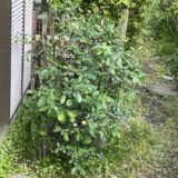 この１年をギュッとまとめて